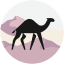 DustyDunes